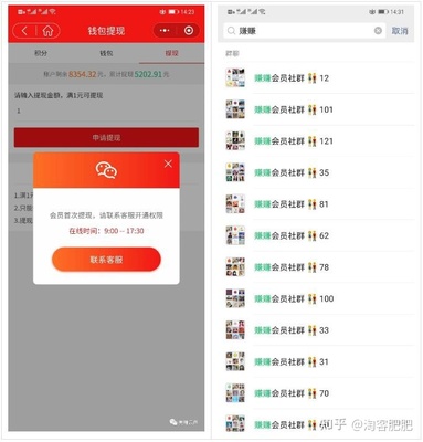 淘客進(jìn)階 公眾號(hào)返利從入門到精通，社群淘客的深度運(yùn)營之道